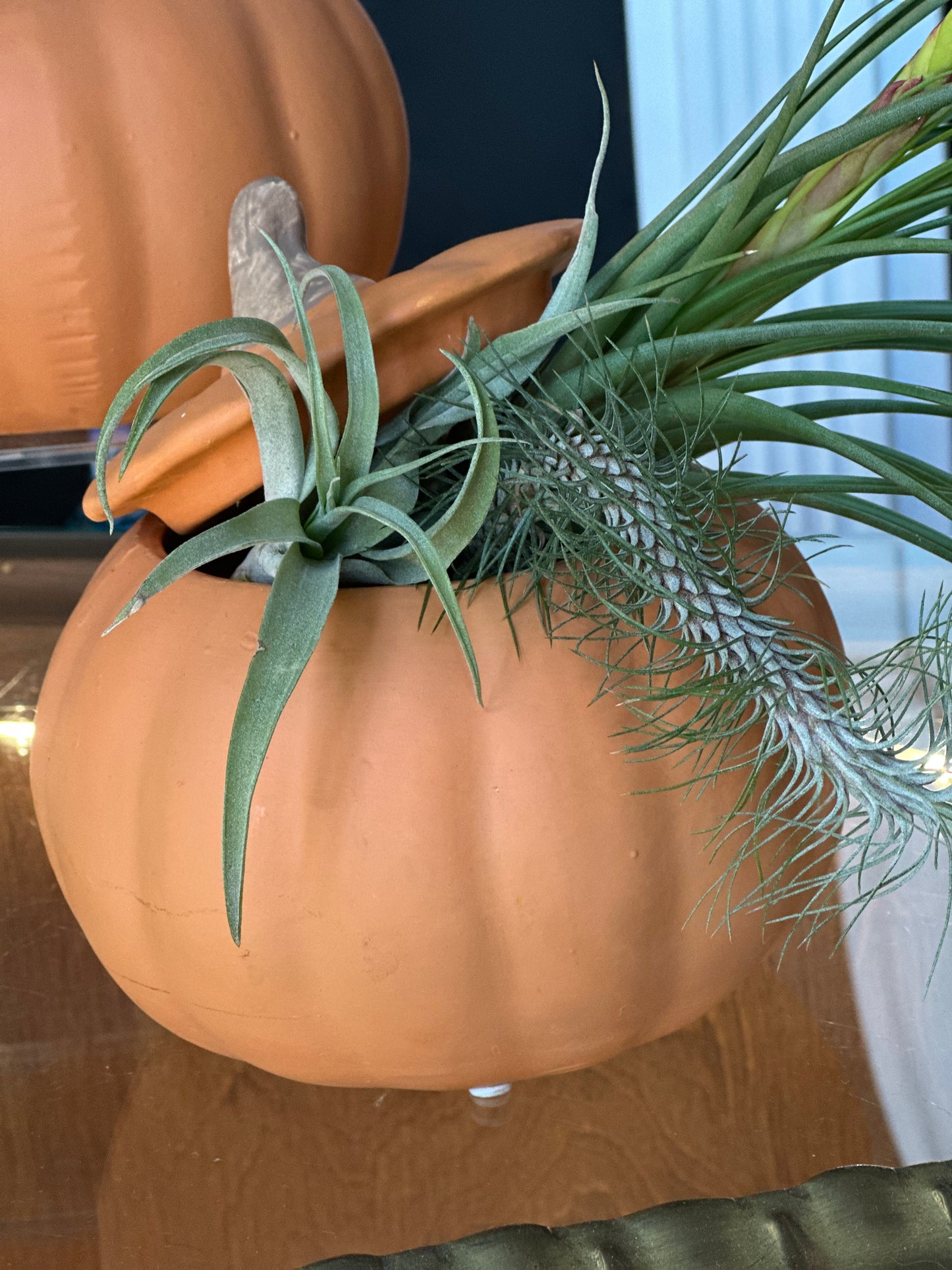 Ceramic Pumpkin Vase