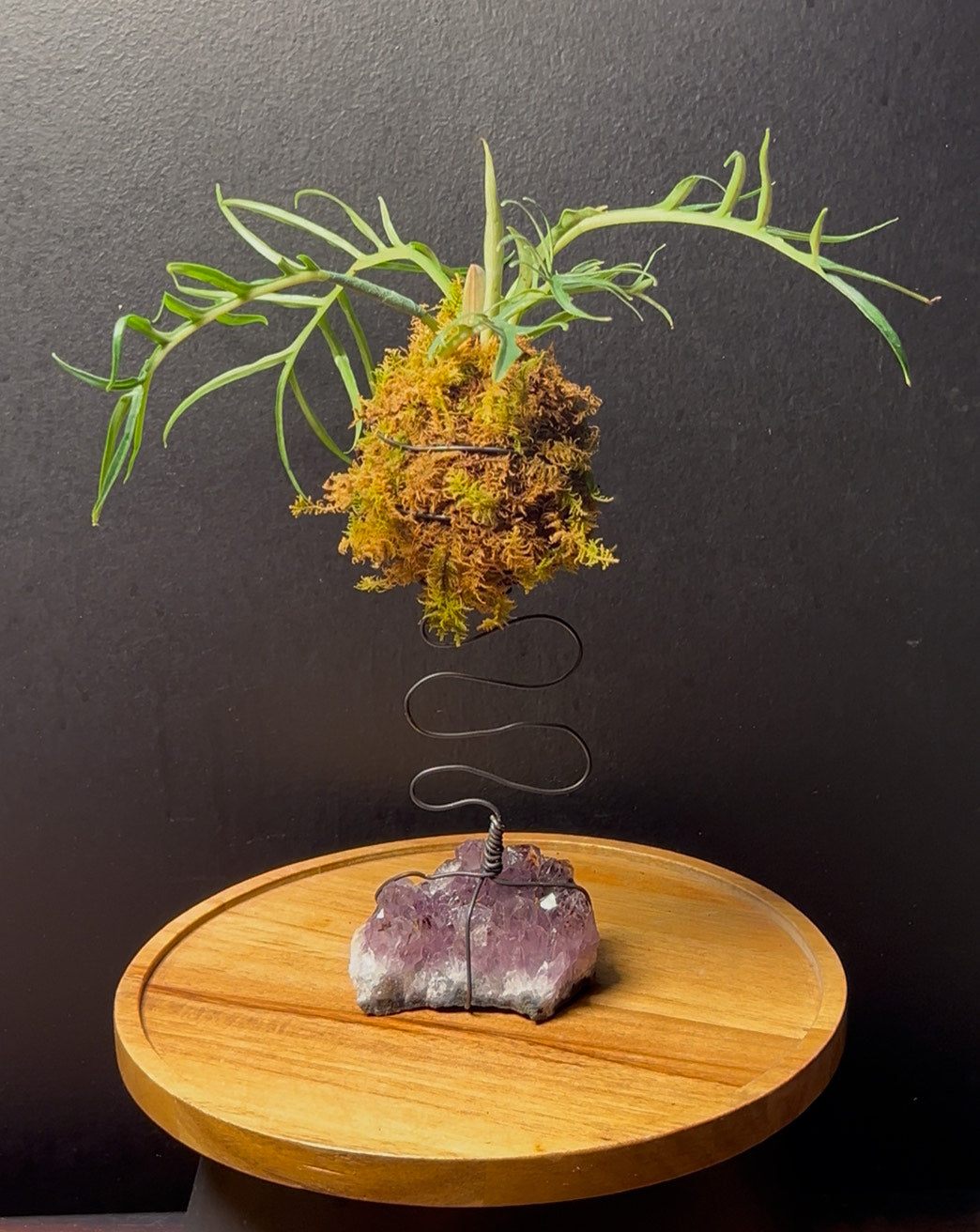Kokedama Sculpture