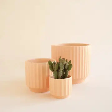 Monroe Planter | Palm | Black | Sunset