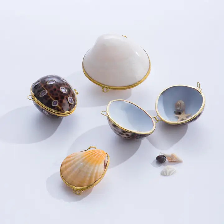 Seashell Boxes