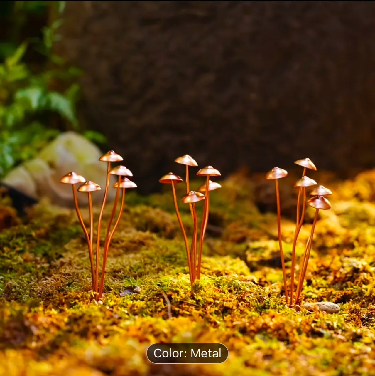 Copper Mushroom Cluster