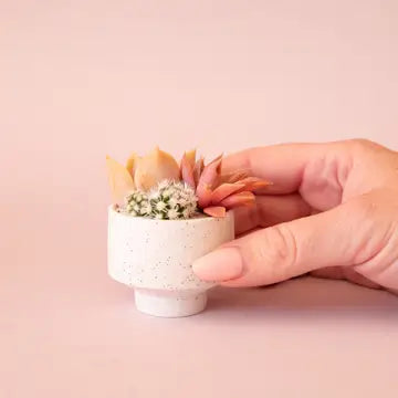 Mini Speckle Footed Planter