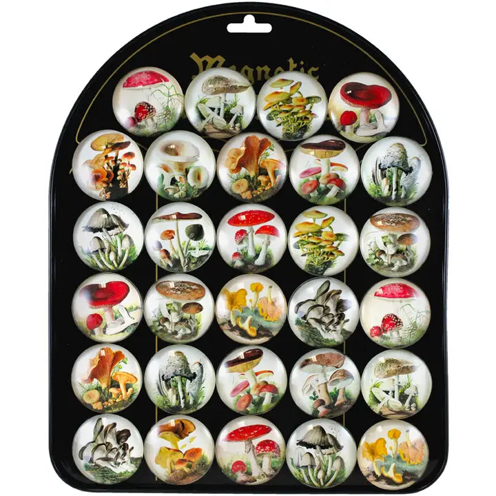Vintage Mushroom Magnet
