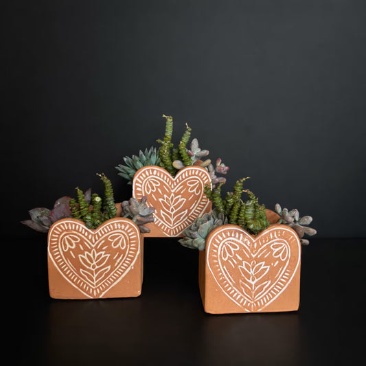 Valentine's Day Succulent Dish