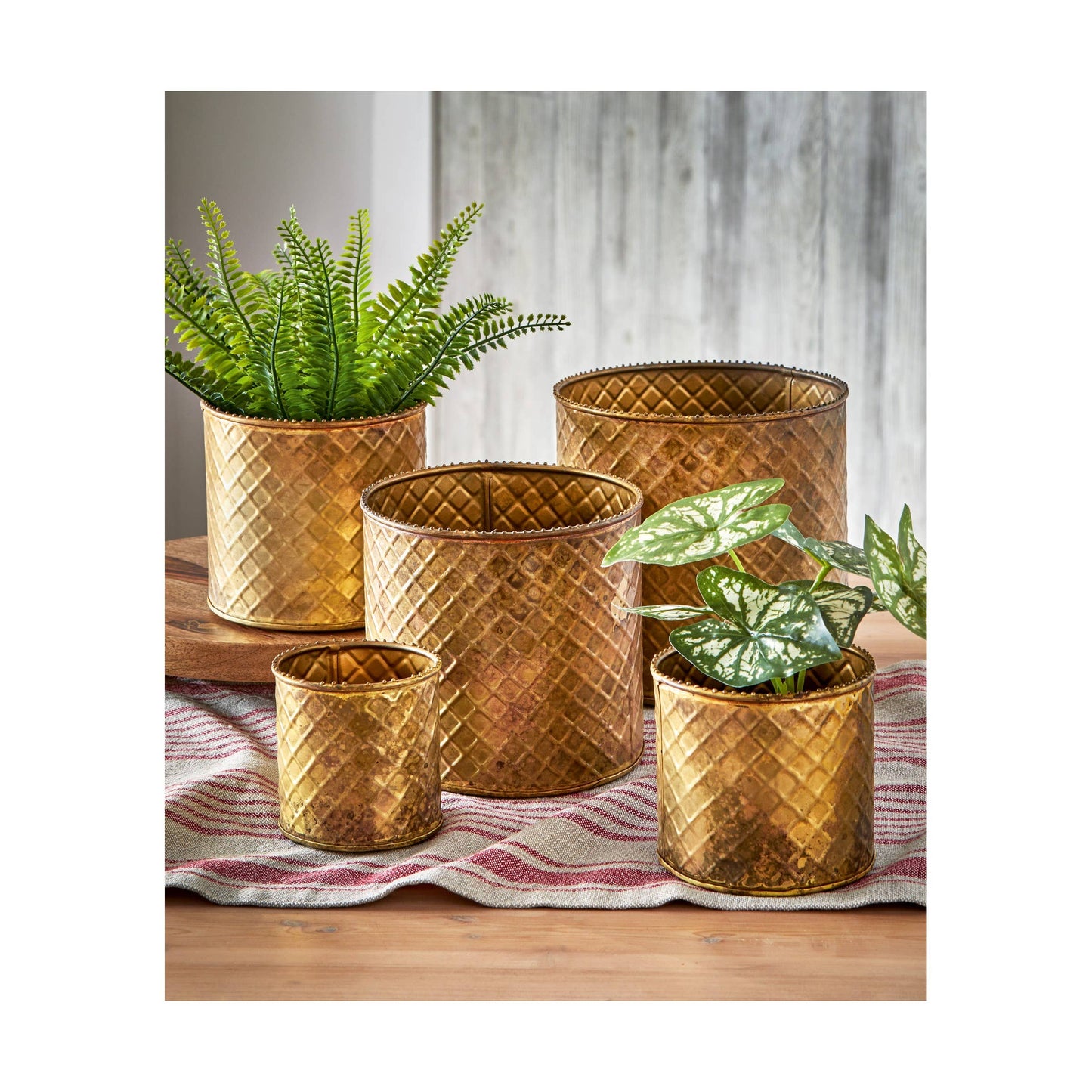 Lattice Planter  - Antique Brass