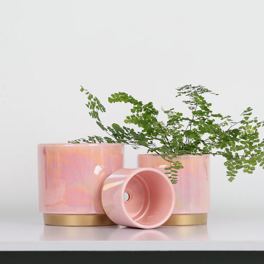 Pink Rainbow Pearl Glaze - Ceramic Pot