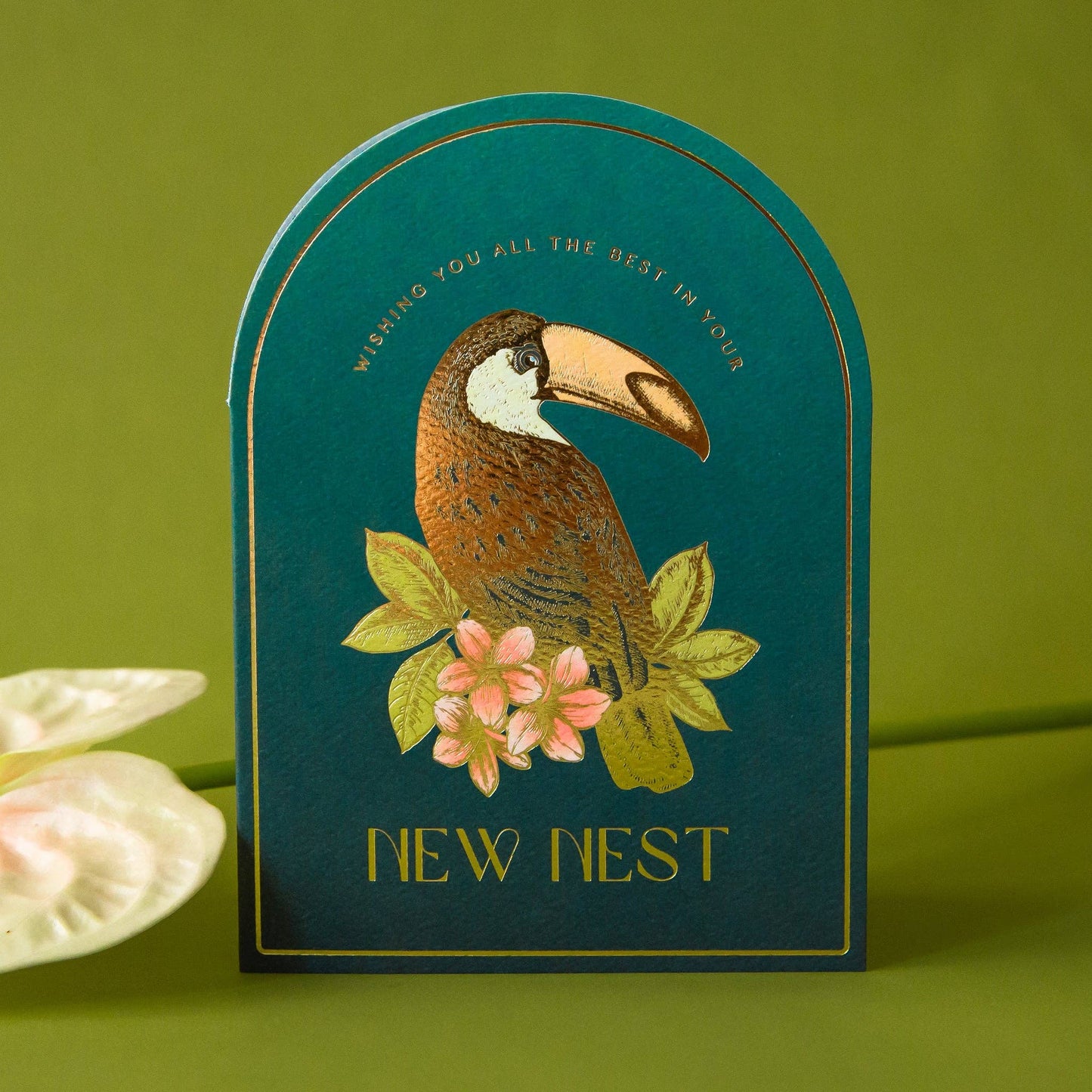 Best in Your New Nest | Toucan
