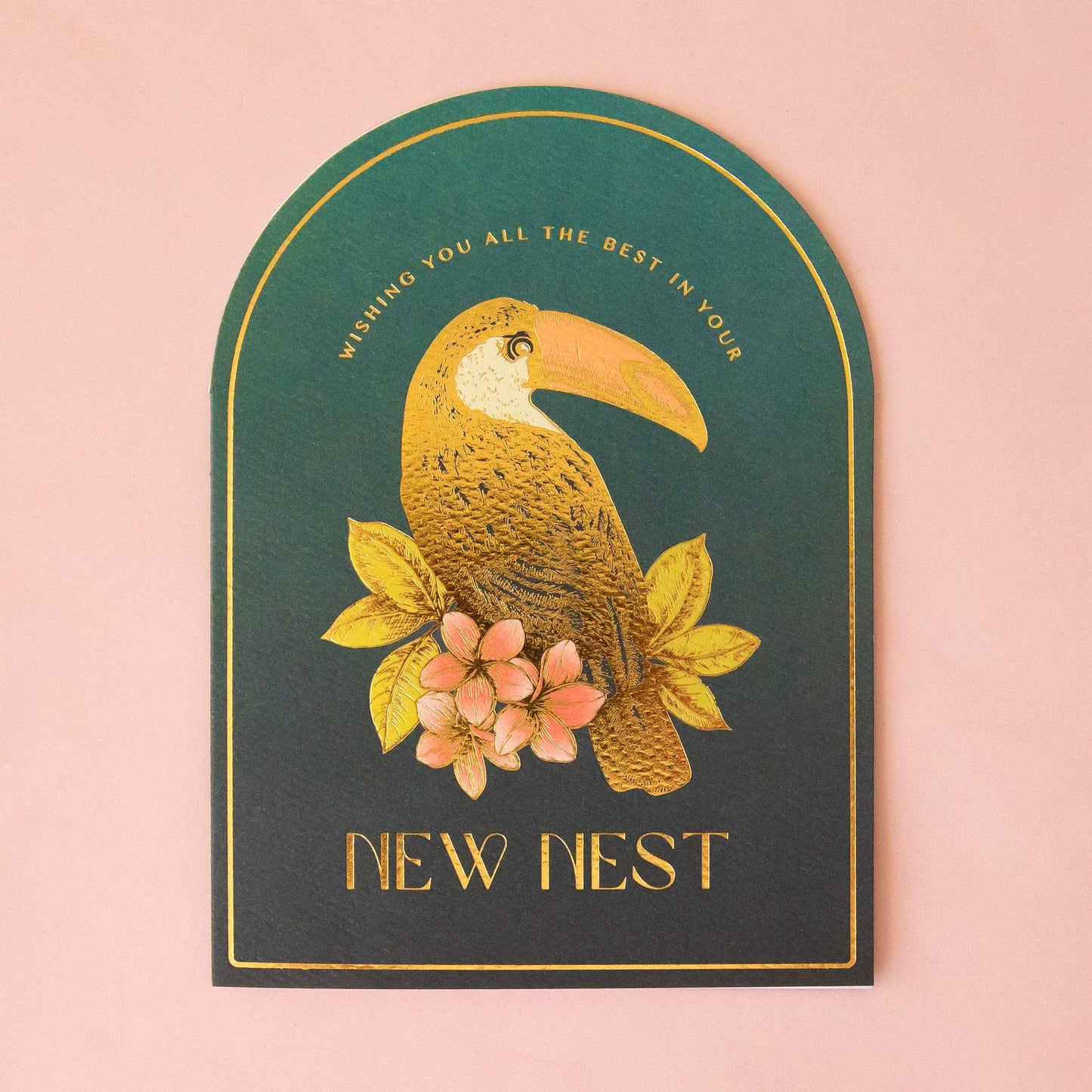 Best in Your New Nest | Toucan