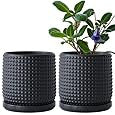 Textured Ceramic Planter