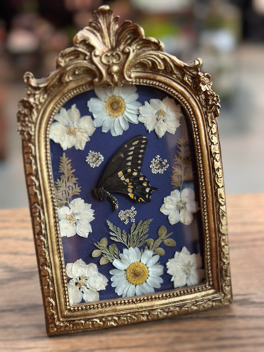 Framed Dried Flowers