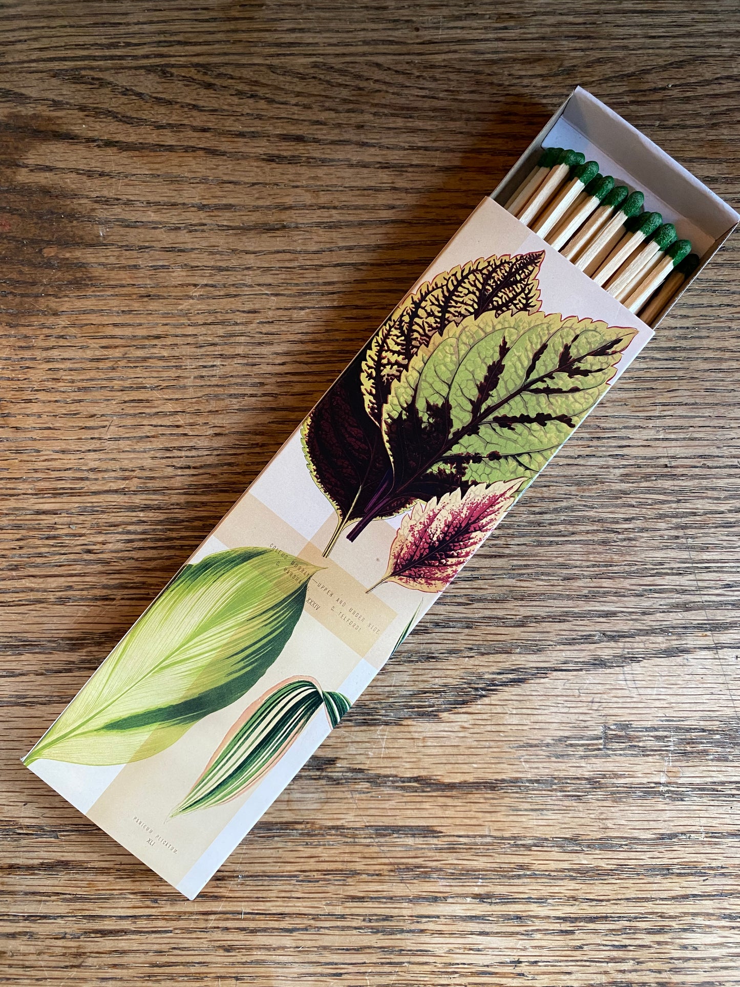 Match - Garden Foliage