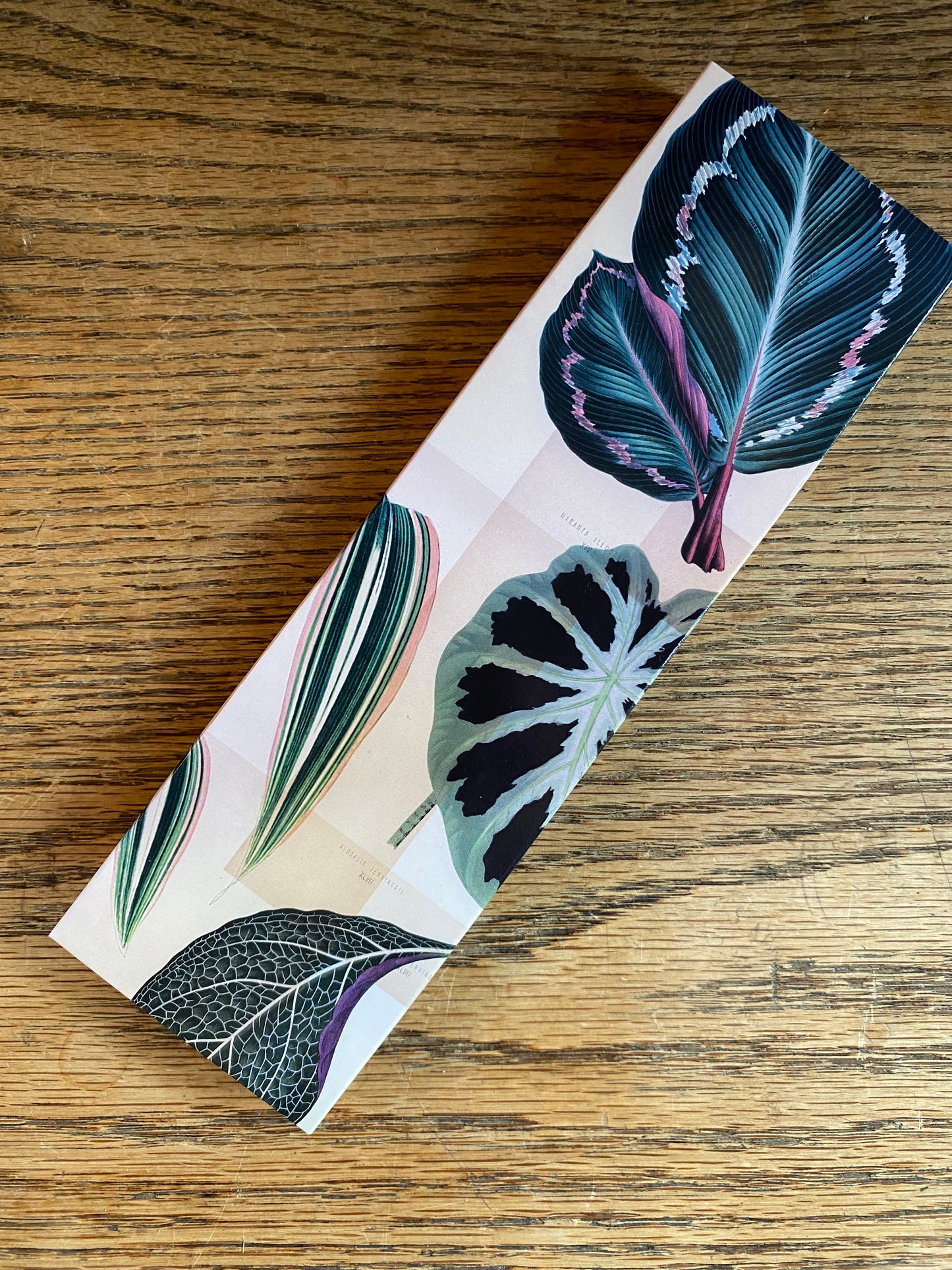 Match - Garden Foliage