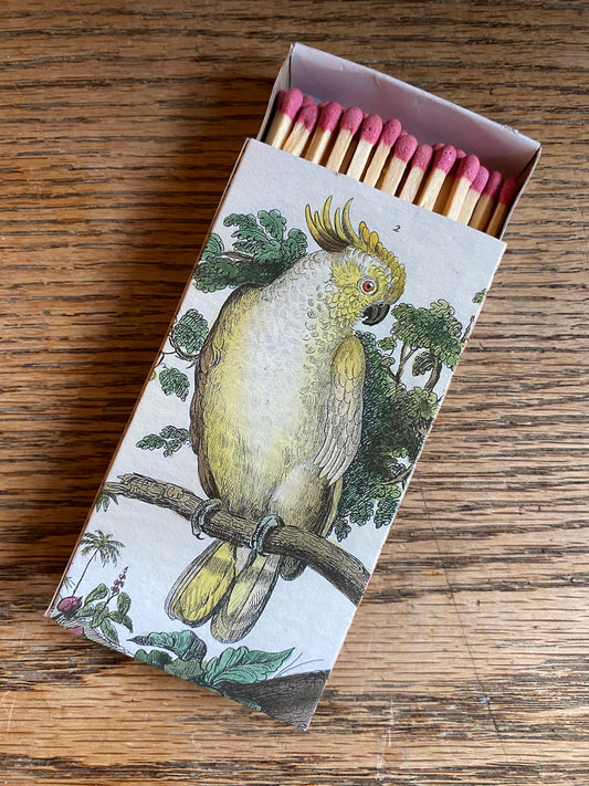 Matches - Cockatoo