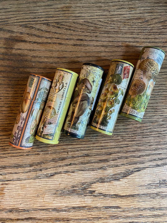 Mushroom Match Tube Small