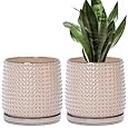 Textured Ceramic Planter