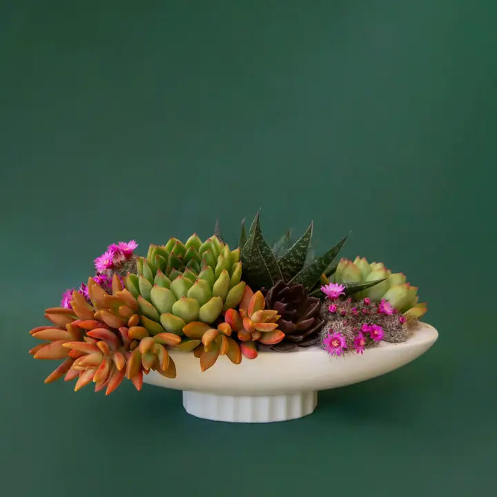Luna Bowl | Vintage White