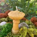 Beeswax Candles