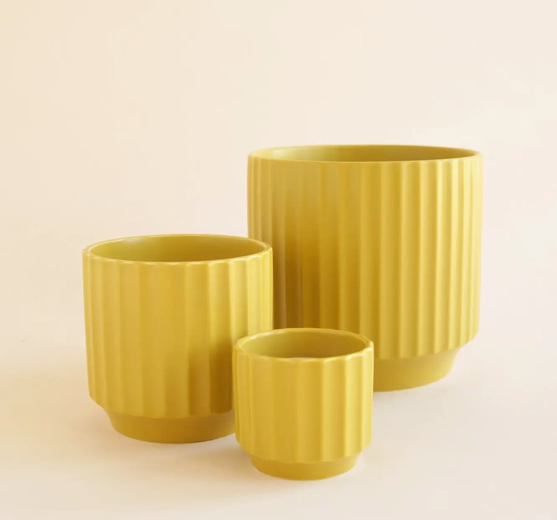 Monroe Planter | Palm | Black | Sunset