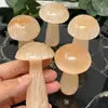 Selenite Cleansing Orange Mushroom 3inch