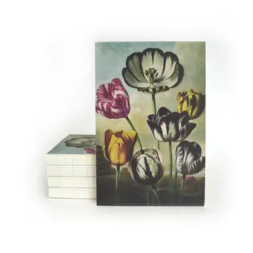 Coptic Binding Journal/Notebook
