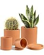 Tall Terracotta Pots