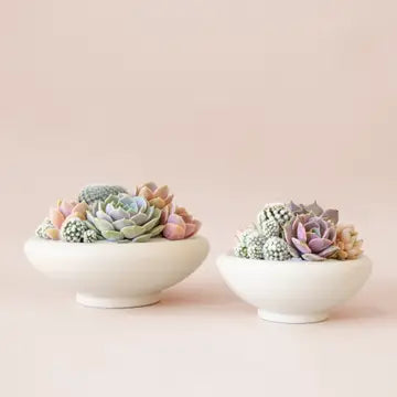 JUNGLE CLUB - Birdie Bowls 8.25"