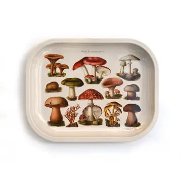 Small Metal Tray