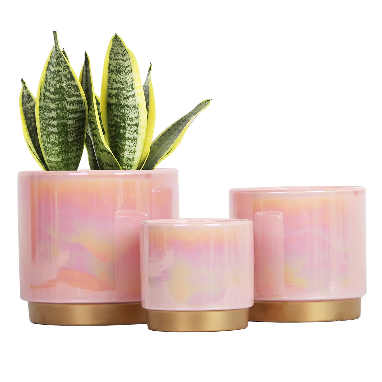 Pink Rainbow Pearl Glaze - Ceramic Pot