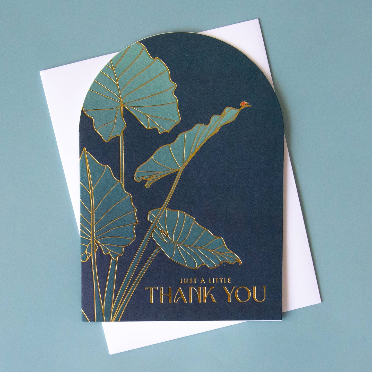 Just a Little Thank You | Ladybug