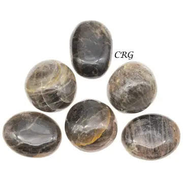 Black Moonstone Palm Stone