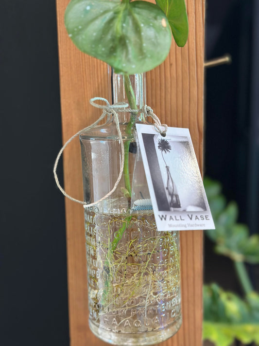 Propagation Wall Vase