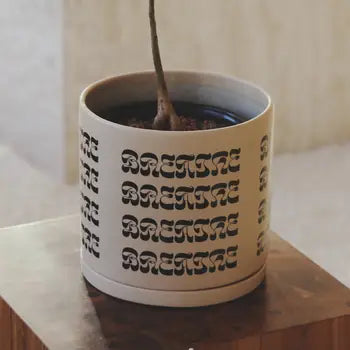 Breathe Pot and Saucer