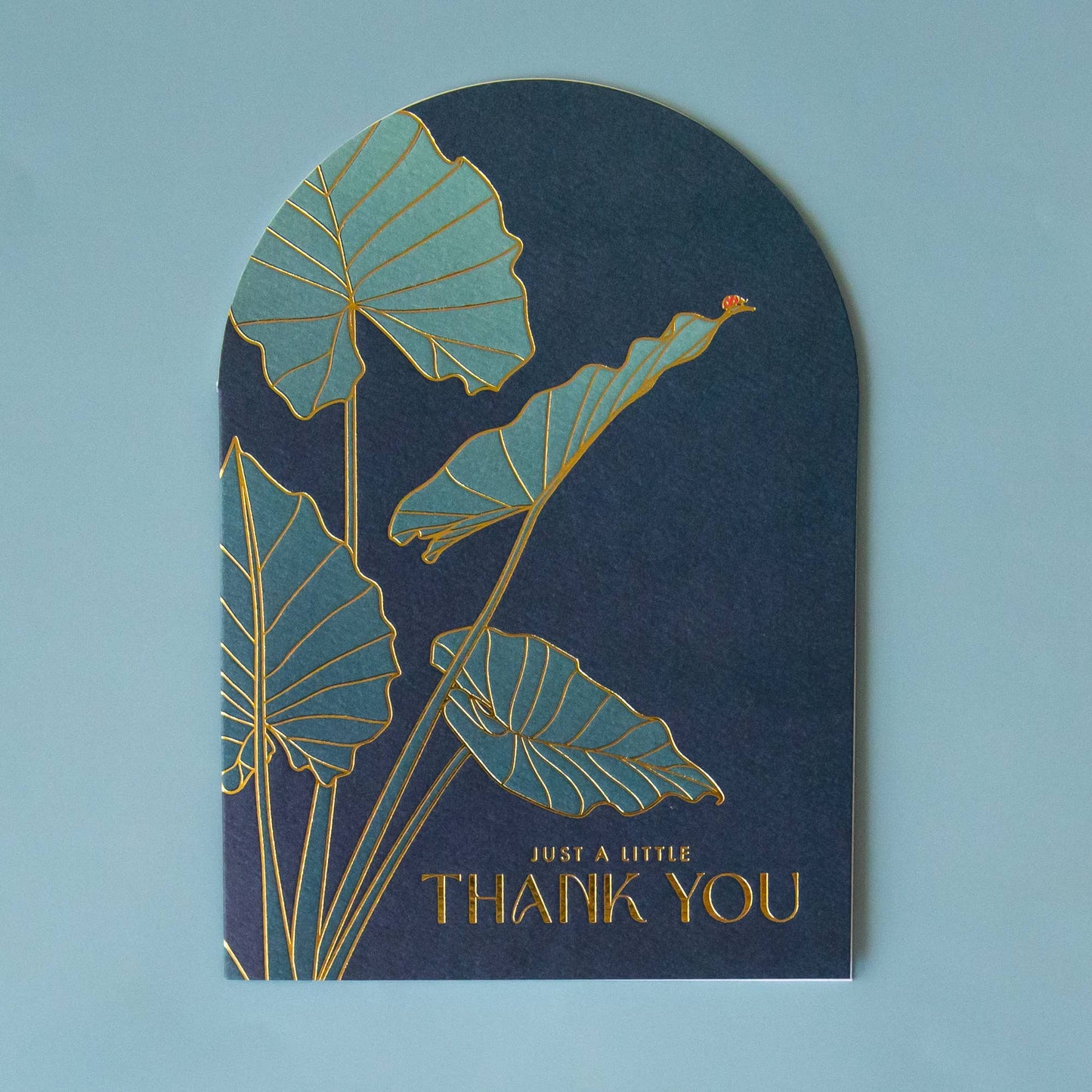 Just a Little Thank You | Ladybug