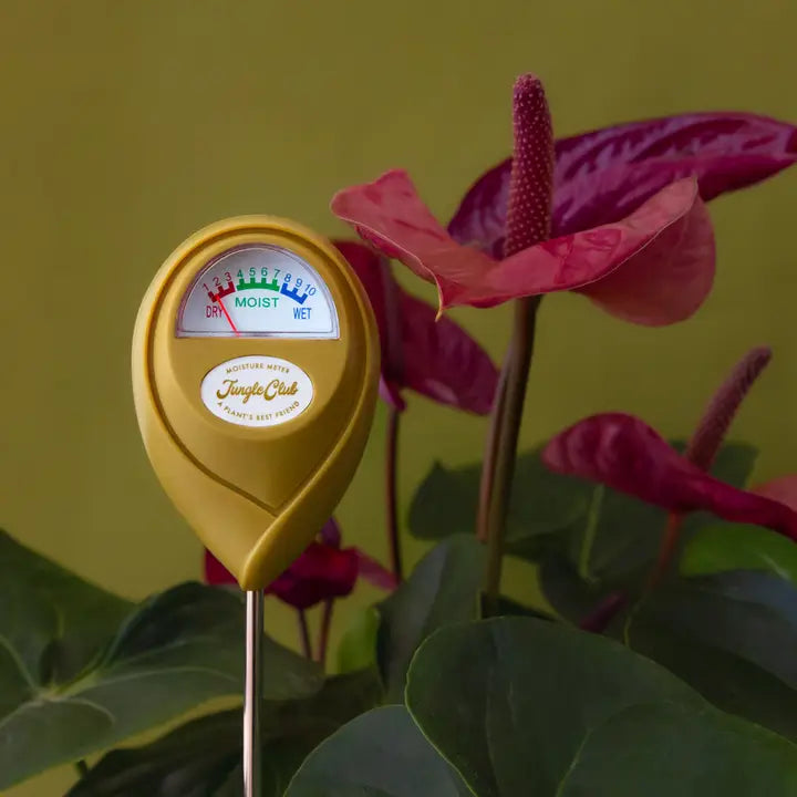 Jungle Club House Plant Moisture Meter