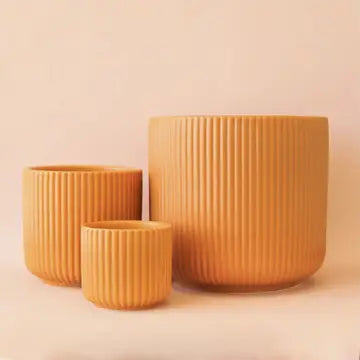 Lucy Planter - Ginger