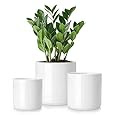 Tall White Planter